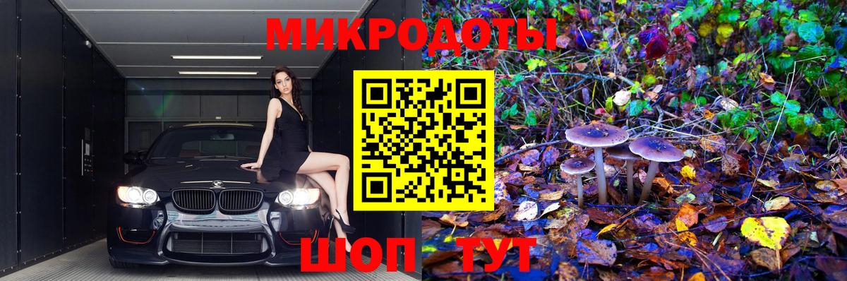 Псилоцибиновые грибы MAGIC MUSHROOMS Качканар