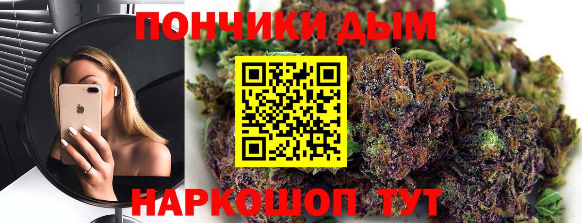 Качканар  Бошки Шишки ГИДРОПОН  Бошки марихуана планчик  Вход с VPN  Марихуана AK-47  Каннабис сатива 